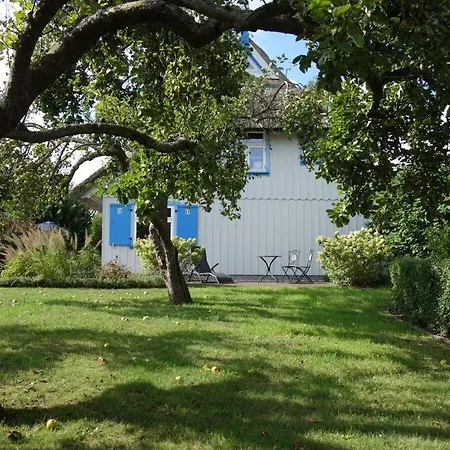 Apartment Captain House South Cats 8 Wieck